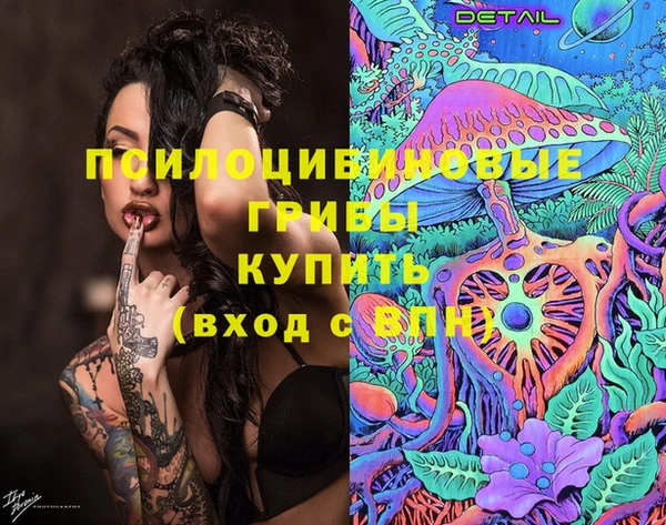 сатива Валдай