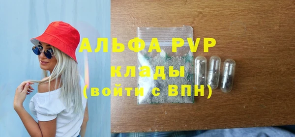 СК Коряжма