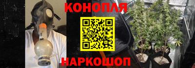 каннабис Гатчина