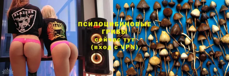 Псилоцибиновые грибы Magic Shrooms  Шуя 